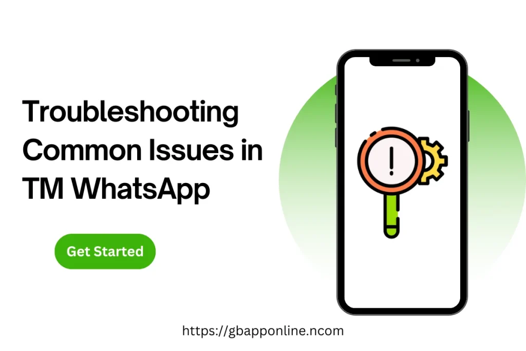 Troubleshooting Common Issues in TM WhatsApp